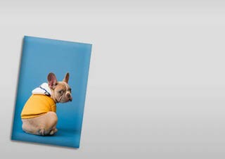 Francia Bulldogos hűtőmágnes2